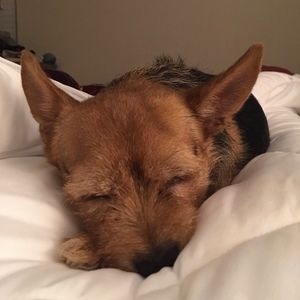 Meet your Posher, Posh